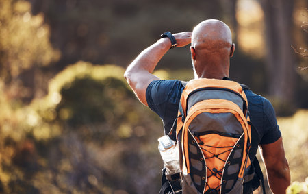 Relax, hiking and fitness with black man in forest for sports, training and workout. Backpacking, peace and freedom with hiker trekking in nature enjoying view for travel, adventure and environmentの写真素材