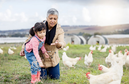 Family, farming and chicken, grandmother and child on farm in Mexico, feeding livestock with poultry and agriculture. Senior woman, girl and farmer on field in countryside, nutrition and sustainableの写真素材