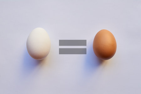 We all were eggs once. Studio shot of two different types of eggs placed next to each other with a equal sign in the middle.の写真素材