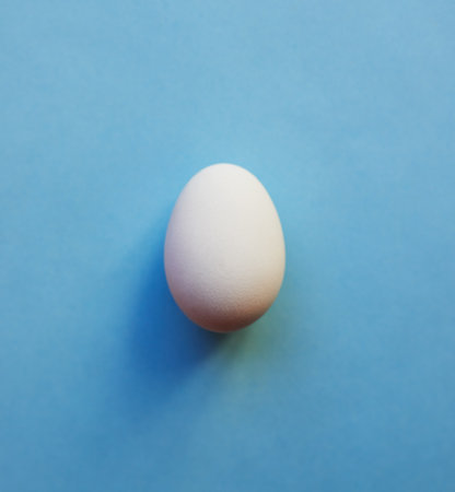 Blue is for boys. Studio shot of a white egg placed in the centre against a blue background.の写真素材