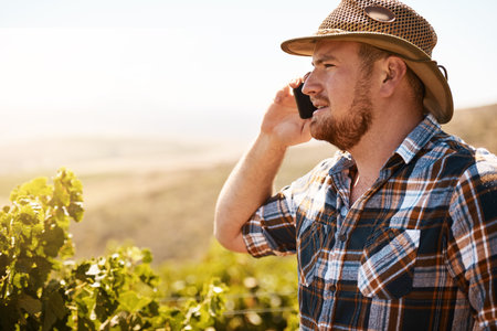 Confirming an order with one of the many stores he supplies. a farmer talking on a cellphone in a vineyard.の写真素材