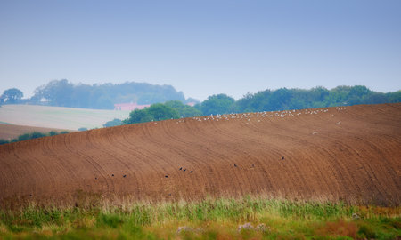Springtime in the countryside. Farmland in springtime - Jutland, Denmark.の写真素材