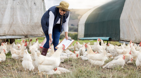 Agriculture, chicken farming and woman with clipboard on free range farm, environment and field. Sustainability, animal care and farmer check poultry birds in countryside, nature or sustainable tradeの写真素材