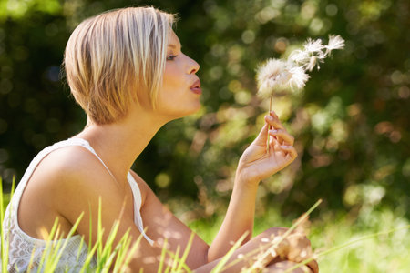 Making a wish. An attractive young woman blowing on a dandelion in an open field.の写真素材
