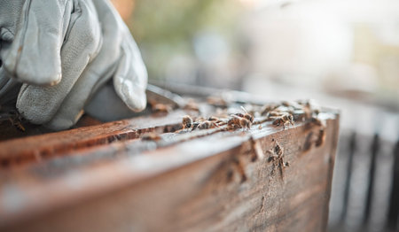Closeup, wood and carpenter hand for design, carving or diy in furniture, art or production....