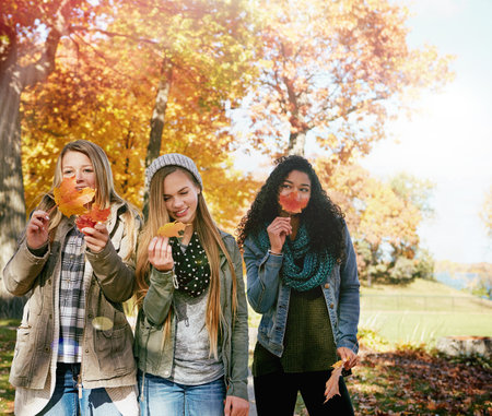 Smiles in the sunshine. a group of teenage friends enjoying an autumn day outside together.の写真素材