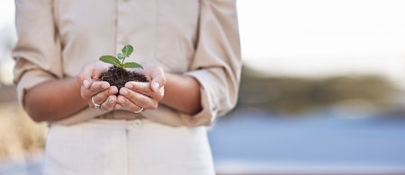 Hands, seedling and business woman with space for mockup, branding or growth in startup company. Soil, plant and mock up for development, start or entrepreneurship for goal, sustainability and futureの写真素材