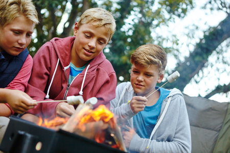 Fellowship of the marshmallow roasters. three young boys cooking marshmallows over the campfire.の写真素材