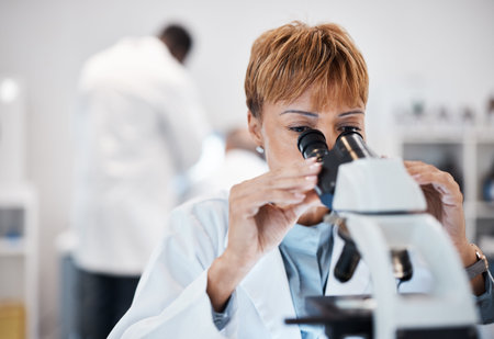 Check, microscope and science with black woman in laboratory for experiment, medical and pharmacy....