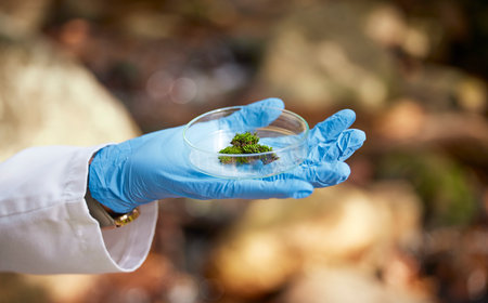 Science, nature and hands with moss sample for inspection, environmental and ecosystem study. Agriculture, biology and scientist with petri dish in forest for analysis, research and growth dataの写真素材