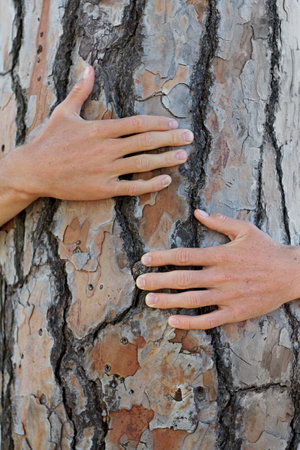 Closeup, tree and person with a hug, protection and natural care with sustainability, environment and green energy. Zoom, human and nature lover with embrace, support the planet and eco friendlyの写真素材