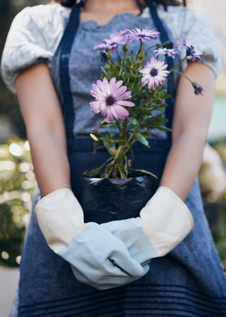 Purifying the air and giving fresh strength to our people. a unrecognizable female florist working at a nursery.の写真素材