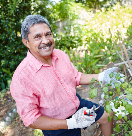 Pruned to perfection. a happy senior man gardening in his backyard.の写真素材