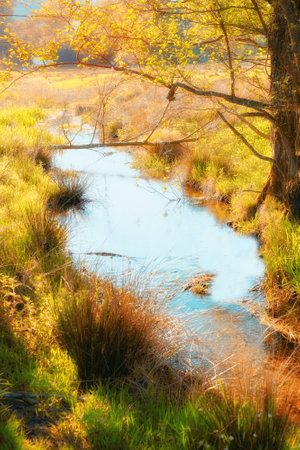 The beauty of autumn. Forest and landscape in the colors of autumn.の写真素材