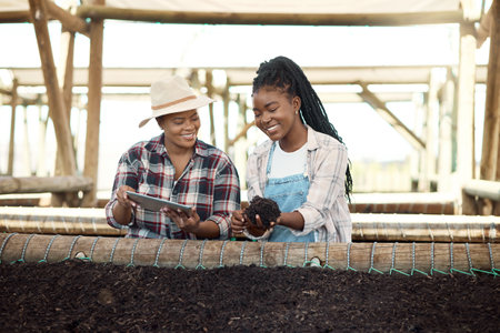 Two farmers checking soil quality. African american farmer holding dirt. Two colleagues checking soil quality on a farm. Happy farmers using a digital tablet. Two women working on a farmの写真素材