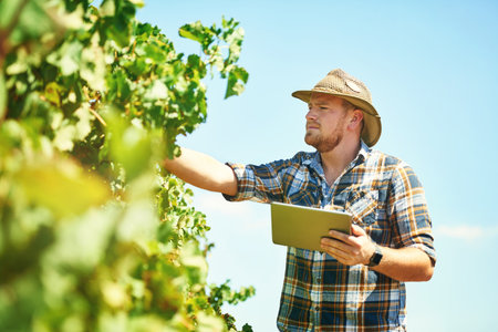 Using the best resources to help grow his grape vines. a farmer using a digital tablet while doing his rounds.の写真素材