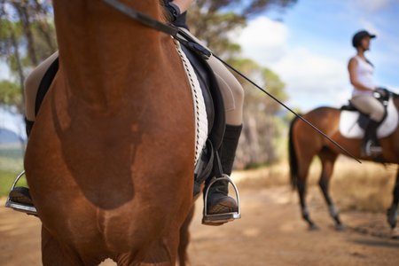 The freedom of riding...A cropped image of a rider on her horse.の写真素材