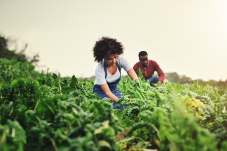 We cant wait to share our blessings with you. an attractive young female farmer with her husband in the background.の写真素材