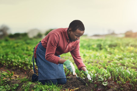 Living life green and clean. Full length shot of a handsome young male farmer planting seeds in his vineyard.の写真素材