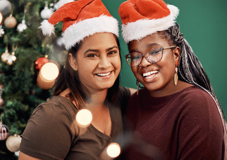 Santa couldnt make it so he sent us. Portrait of two happy young women celebrating Christmas at home.の写真素材