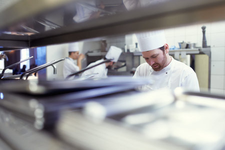 Team, employees and chef in a kitchen, catering and prepare delicious meal with equipment....
