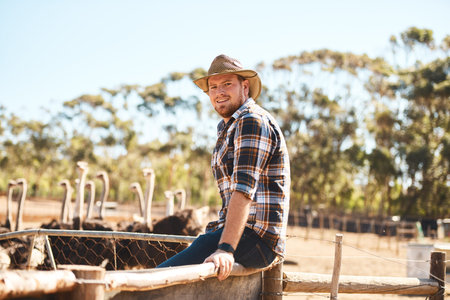 Ostrich farming has brought in great business. Portrait of a man working in an ostrich farm.