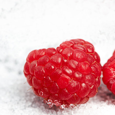 Get that sweet treat the healthy way. juicy raspberries on sugar.の写真素材