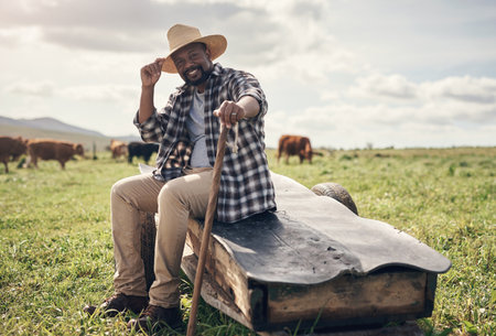 Bred and raised by the best. a mature man working on a cow farm.の写真素材