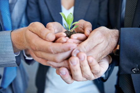 Closeup, staff and hands with a plant, employees and seedling with business growth, hope or investment. Zoom, group or people with sustainability, eco friendly or agriculture with development or goalの写真素材