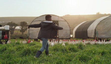 Chicken, farming and playful child on field, energy and sustainable business in agriculture with birds. Nature, playing and kid running on grass with chickens, fun on family farm with sustainability.の写真素材