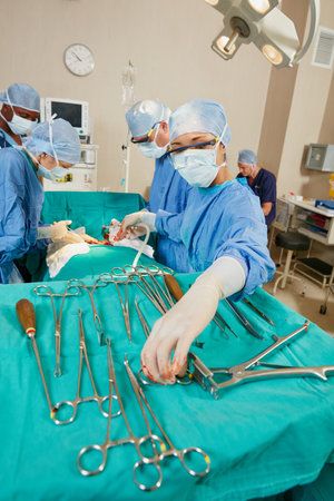 She knows her instruments like the back of her hand. a team of surgeons performing a surgery in an operating room.の写真素材