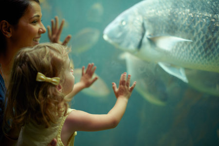 Mother, aquarium and child looking at fish for learning, curiosity and knowledge, education and...