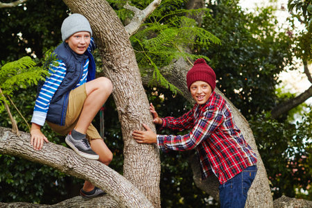 Treetop adventurers. two boys climbing a tree together.の写真素材