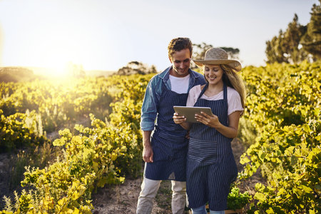 Making the season a fruitful one with smart technology. a young man and woman using a digital tablet together on a farm.の写真素材