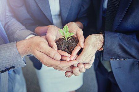 Business, plants in group hands for eco environment growth and zoom closeup. Teamwork or collaboration, sustainability in green startup project and corporate people holding soil for earth dayの写真素材