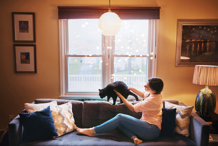 My furry friend till the end. an attractive young woman relaxing on the sofa at home and bonding with her cat.の写真素材