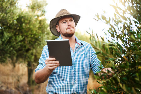 Using modern technology to manage a successful farm. a farmer using a digital tablet working in a vineyard.の写真素材