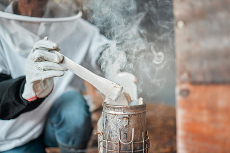 Beekeeper, hands and smoker at bee farm for smoking bees. Beekeeping, safety and worker or employee in suit with equipment tool to calm and relax beehive, bugs or insects for farming or honey harvestの写真素材