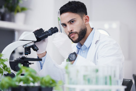 Plant science, microscope and man in a lab with sustainability test tube and botany research. Leaf growth, study and male scientist with tech for agriculture development and environment analyticsの写真素材