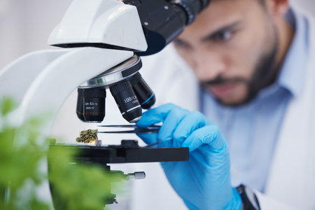 Plant particles, microscope science and man in laboratory with sustainability ecology and botany research. Leaf growth, study and male scientist in a lab for agriculture development and scope testingの写真素材