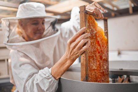 Woman beekeeper, honeycomb and beekeeping, sustainability in nature at bee farm warehouse. Farming,...