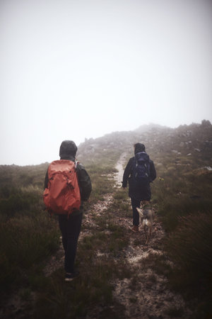 Every hike is memorable. two male friends out for a hike in the mountains with a dog.