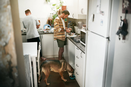 That time of the morning again. two young men making food together in the kitchen at home with their dog during the day.の写真素材