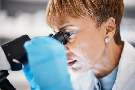 Research, microscope and science with black woman in laboratory for experiment, medical and pharmacy. Healthcare, medicine and results with expert looking for pathology, test and sample analysisの写真素材