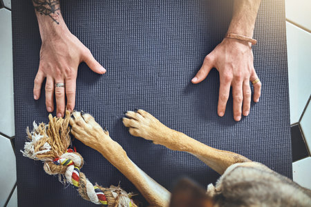 A time to paws and reflect. an unrecognisable man doing yoga with his dog at home.の写真素材
