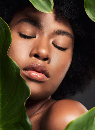 Face, black woman and leaves with natural skincare, nature and eco friendly beauty and cosmetics on studio background. Facial, green and African female model, skin glow and sustainable dermatologyの写真素材
