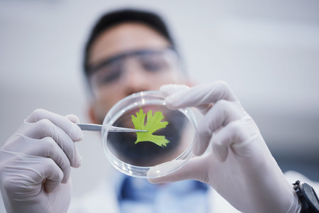 Research, man or scientist with plant sample for analysis, floral sustainability or leaf growth...
