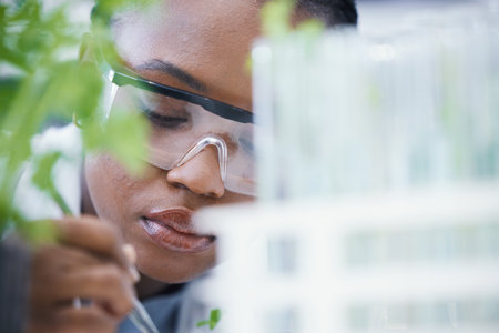 Research, black woman or scientist with leaf sample for analysis, sustainability or plants growth innovation. Science, studying biotechnology or ecology expert in a laboratory for agro developmentの写真素材