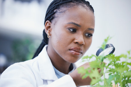 Weed, magnifying glass and scientist woman for growth inspection, cannabis research and confused or focus. African person in science laboratory and zoom for medical leaf, plants and 420 CBD analysisの写真素材