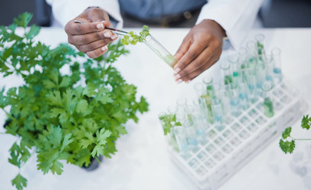 Plant, hands and scientist in laboratory with test tubes, experiment or research on leaves, growth or agriculture study. Science, biotechnology worker or education studying ecology or climate changeの写真素材